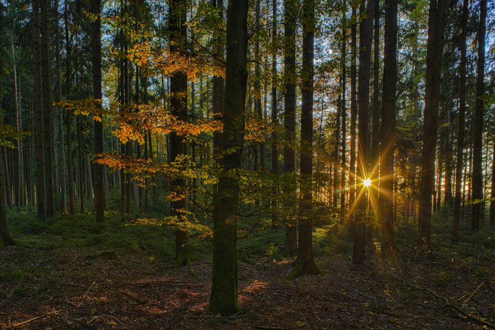 4. Platz Conny Kleiner